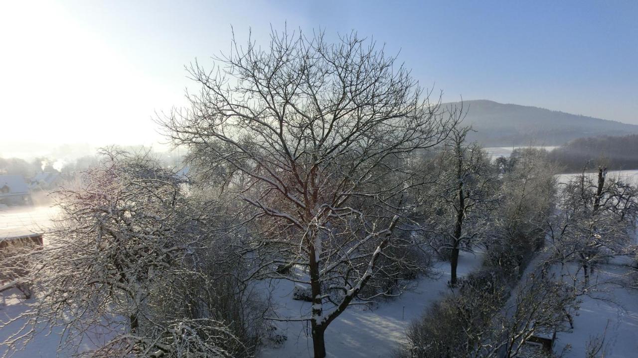 Ferien-Messe-Handwerkerwohnung-Haustiere Willkommen Lauf an der Pegnitz Bagian luar foto